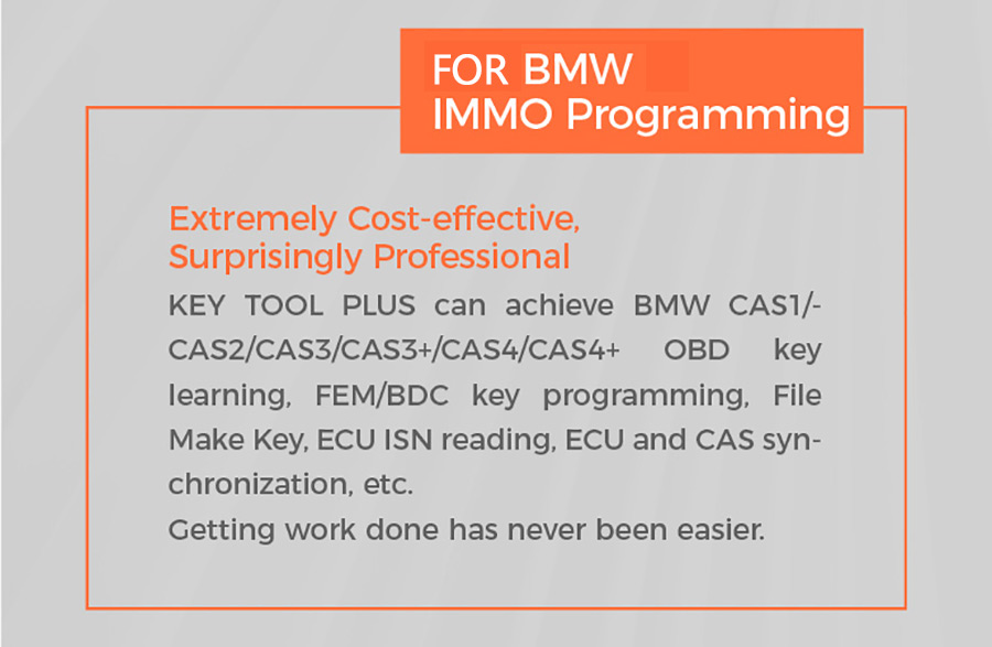 bmw immo programming